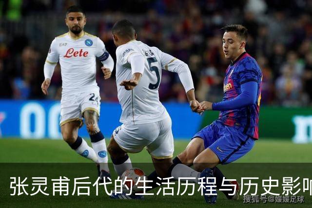 张灵甫后代的生活历程与历史影响分析